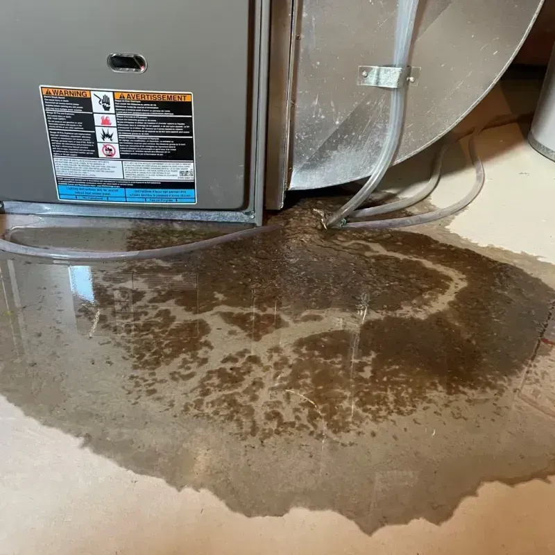 Appliance Leak Cleanup in Clayton, DE